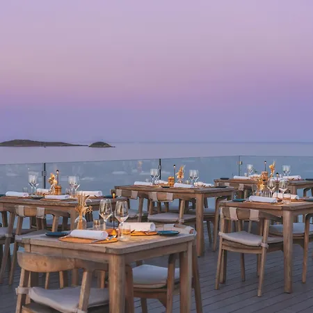 Melia Ibiza - Adults Only